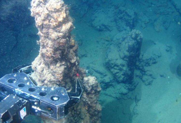 Polymetallic nodules on the deep sea floor
